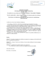 Decision tampon.pdf