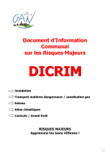 Gan-dicrim2019.pdf